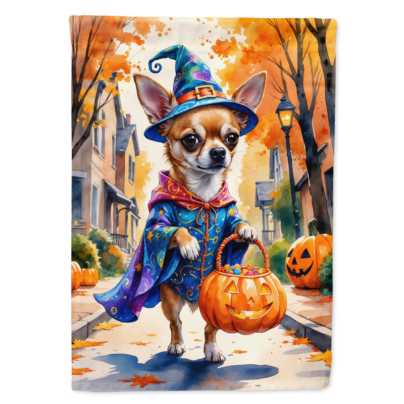 Drapeau du jardin Mastiff, Chihuahua