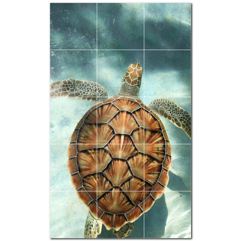 Murale en céramique satinée 4,25 po x 4,25 po Turtle Photo