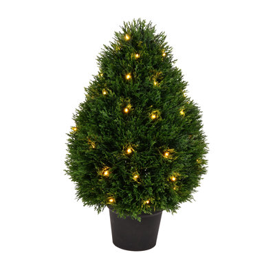 Cedar Teardrop Shaped Bush Cedar Teardrop Shaped Bush