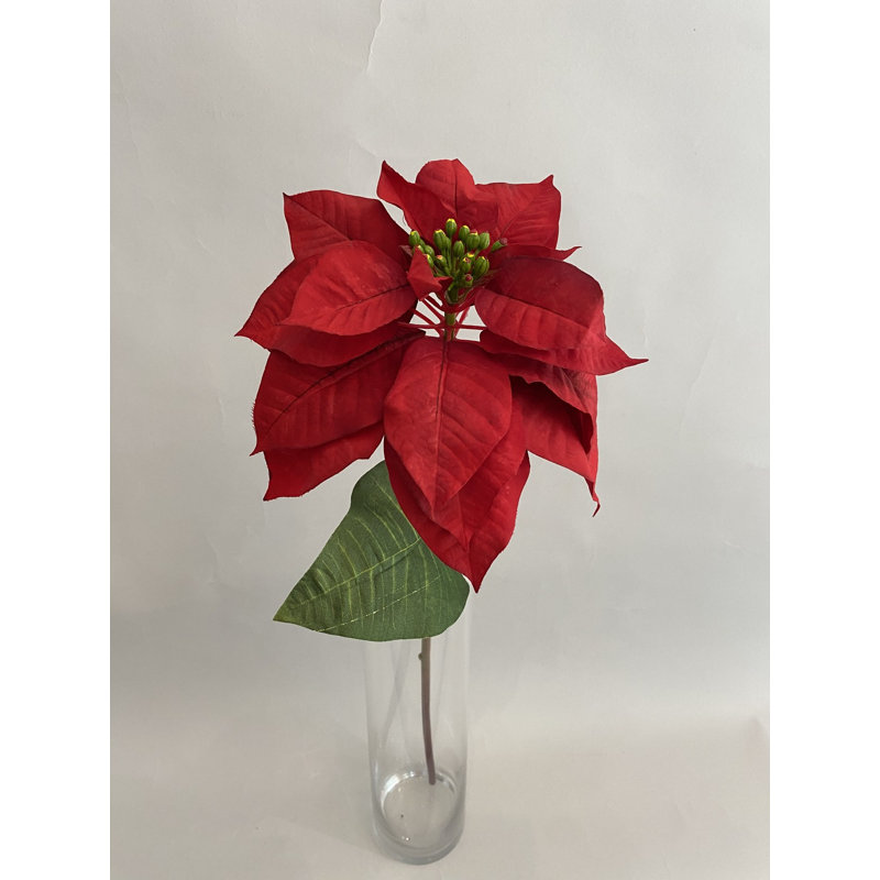 TIGE DE POINSETTIA D'ASPECT NATUREL, 26" H x 5" W
