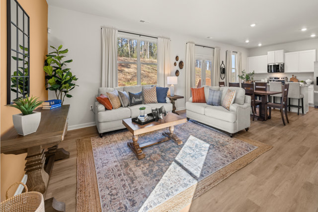 Living room with couches, rug, and a friends throw pillow.