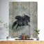«Pegasus in the Heaven», impression-35125505-35125509