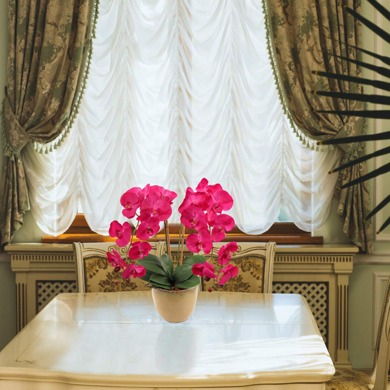 Orchidée en vaporisateur, Fuchsia