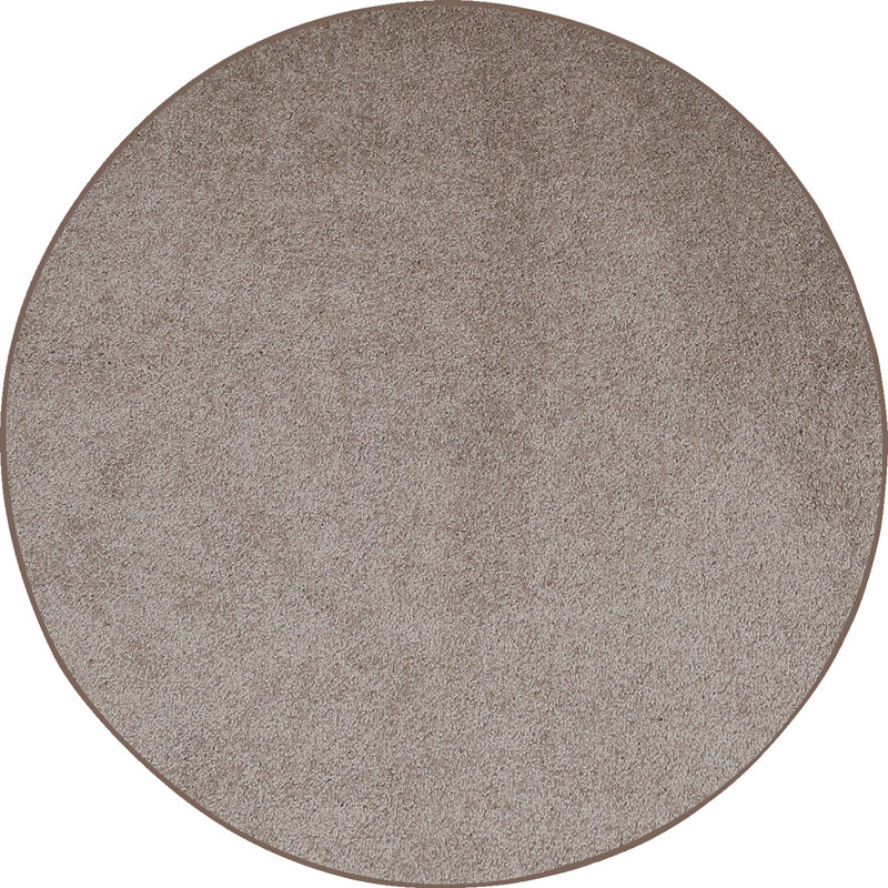 Modern Plush Pet and Kids Friendly Solid Color Beige Area Rugs, Stain & Fade Resistance, Perfect for Living Room, Dining Room, Bedroom, Playroom and Kidsroom, Event, Wedding, Southwest Rug