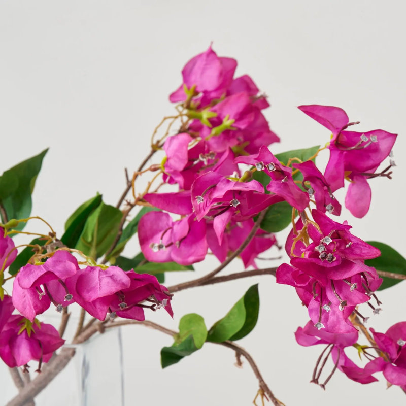 Bouquet de bougainvilliers réalistes réalistes dans un vase rectangulaire rectangulaire