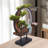 Tymere Ceramic Backflow Incense Holder with LED Light