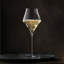 Jospehine No. 4 Champagne Glass