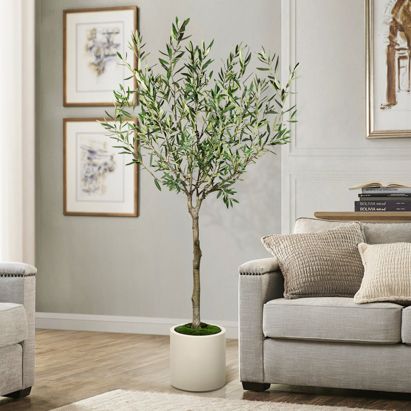 Artificial Olive Tree in White Decor Pot, 78.75" H x 41.25" W x 39.5" D
