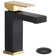Single Hole Single handle Bathroom Faucet with Drain Assembly