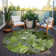 Alfonzo Floral Indoor / Outdoor Rug
