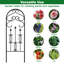 152cm H x 46cm W Metal Gothic
