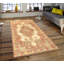 Oriental Area Rug in Ivory