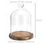 Glass Apothecary Jar