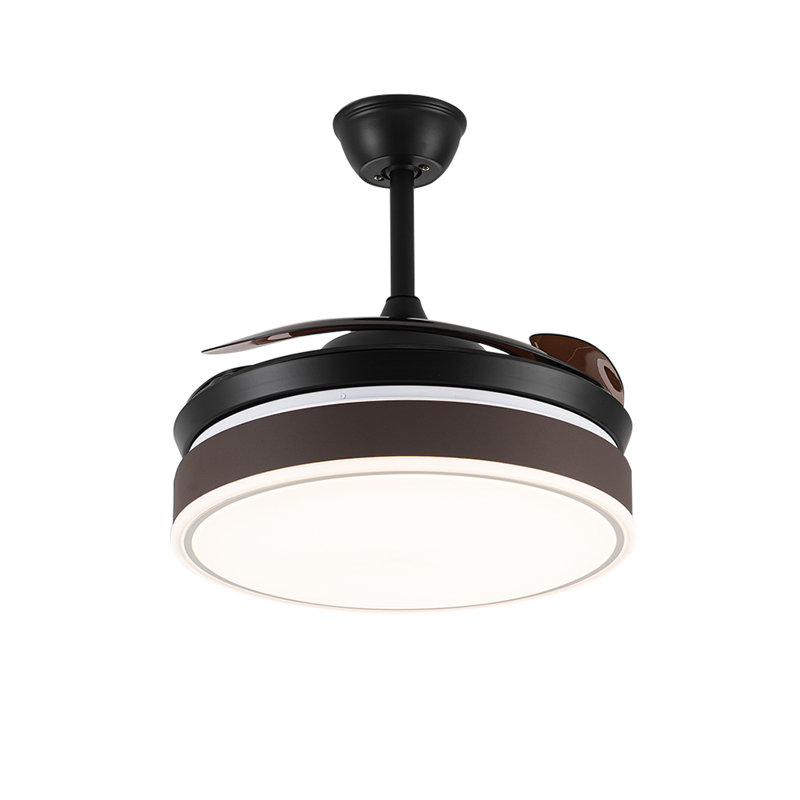 Ceiling Fan with LED Lights