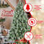 Arbre de Noël Scotch Pine-1625156909