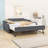 Full Size Upholstery Daybed with Pull-Out Trundle and USB Charging Armrest