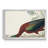 Glossy Ibis - Matted and Framed Under Acrylic Glass, Large Living Room Wall Art-1478155943-1478155940