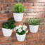 Wall Planter