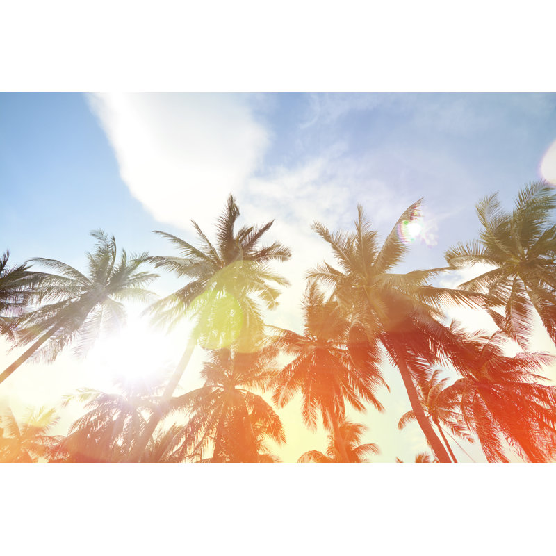 Coconut Tree Silhouette - Wrapped Canvas Print, 20cm H x 30cm W