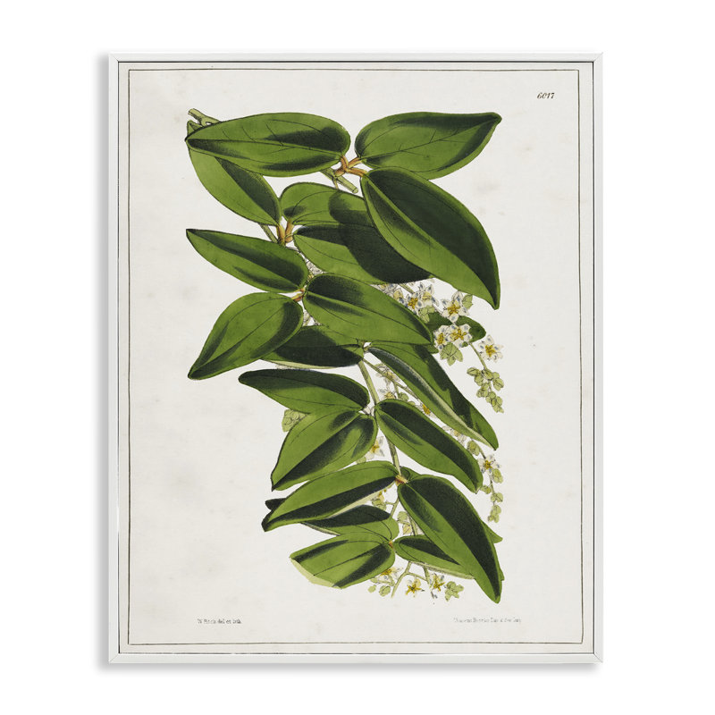 «Giclee Art» par Tina Higgins Designs, Inc., Estampe numérique encadrée blanc bord de mer, H 14 po x l 11 po