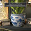 Landscape Vase-1118157679
