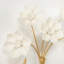 Porcelain Flowers