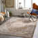 Aderholt Oriental Indoor Rug