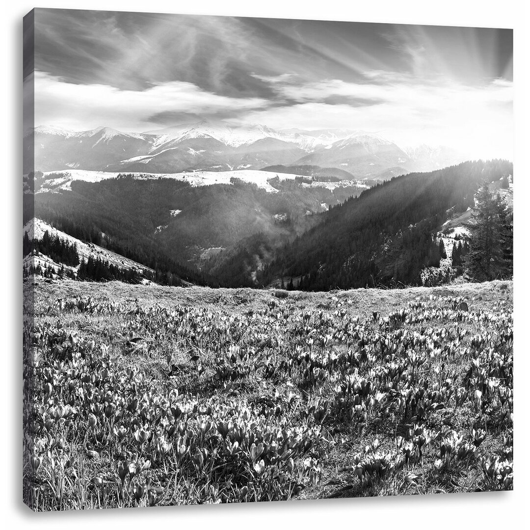 Leinwandbild Schneebedeckte Berglandschaft mit Regenbogen und blühenden Krokussen