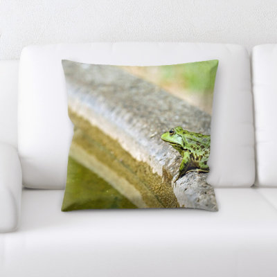 Coussin de grenouille