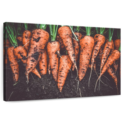 Récolte de carottes Yarlin