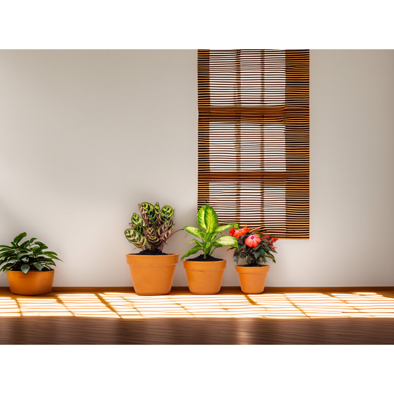 Hand Made Olaughlin 3-Piece Terracota Planter