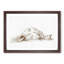 Sleeping Horse by Jean Bernard - Picture Frame Drawing Print-55619532-55619531