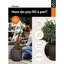 Capi Planter
