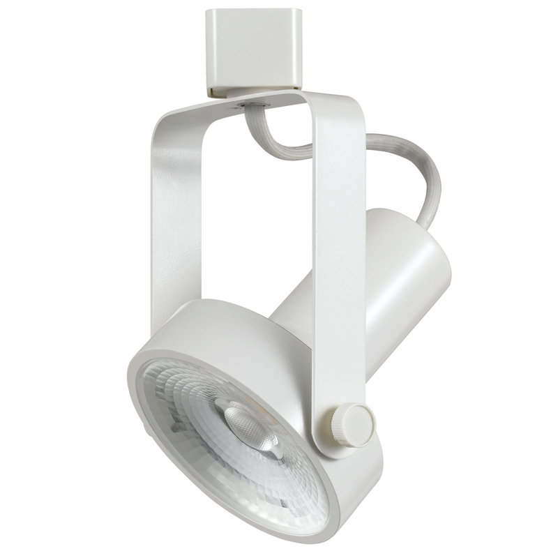 LED Adjustable Track Head, White