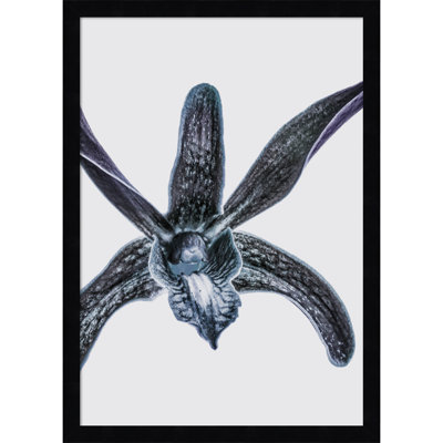 Parkerfield "Orchid" Print by Shot by Clint