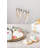 Celebration Champagne 8.5 oz. Glass Flute