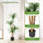 120cm Plant