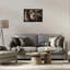 Portrait de lion sur la savane-2024957486-2024957907