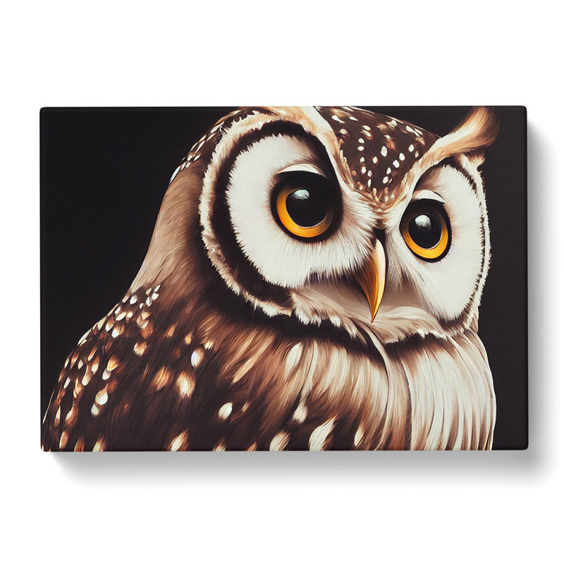 Face Of An Owl Vol.4 - Wrapped Canvas, 35cm H x 50cm W x 3cm D