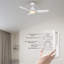Ventilateur de plafond standard intelligent à 3 pales 44 po avec télécommande et ensemble d'éclairage Raenah
