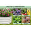 Metal Raised Garden Bed-366847985