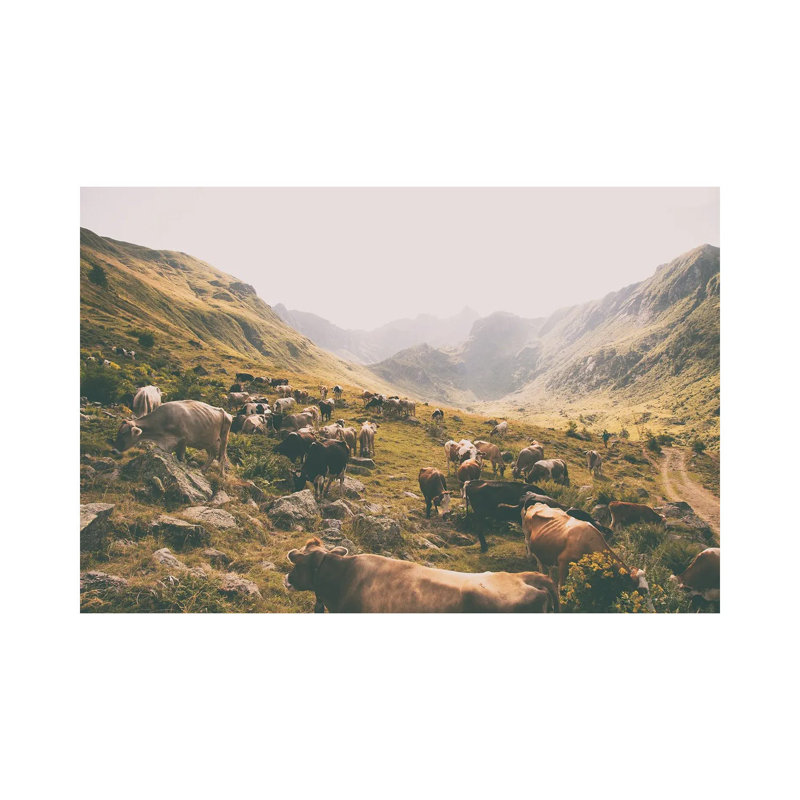 In The Valley by Aledanda - Wrapped Canvas Print, 20.32 cm H x 30.48 cm W