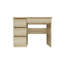 Eufelia Computer Desk-1098951216-1098951219