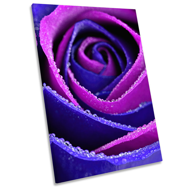 Rose Flower Pink Floral Purple - Wrapped Canvas Print, 45.7cm H x 30.5cm W
