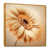 Gold Floater Framed Canvas