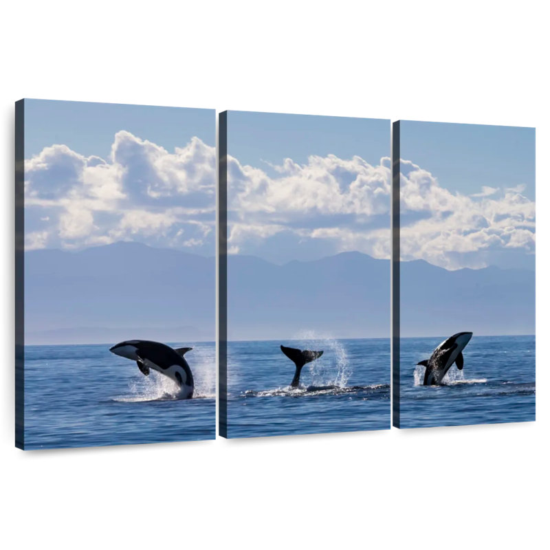 Brampt Lively Killer Whales, 42" H x 65" W