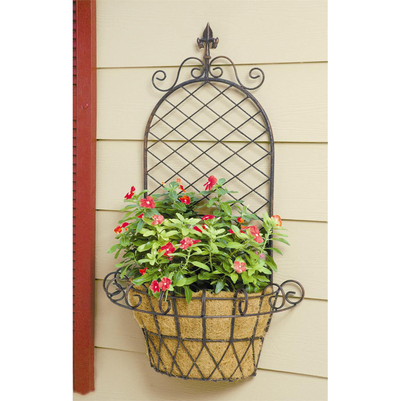 Luverne Metal Wall Planter with Trellis