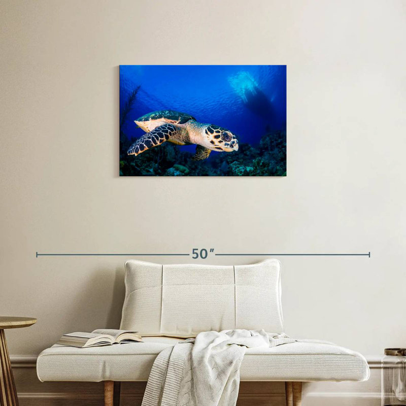 Brampt Underwater Hawksbill Turtle, 20" H x 30" W