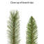 Arbre vert clair 7,5 pi pré-éclairé PVC / Hardneedle-293360297