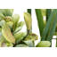 110cm Faux Flowering Plant in Pot